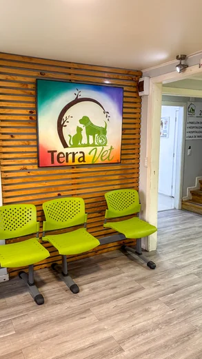 TerraVet Clínica Veterinaria